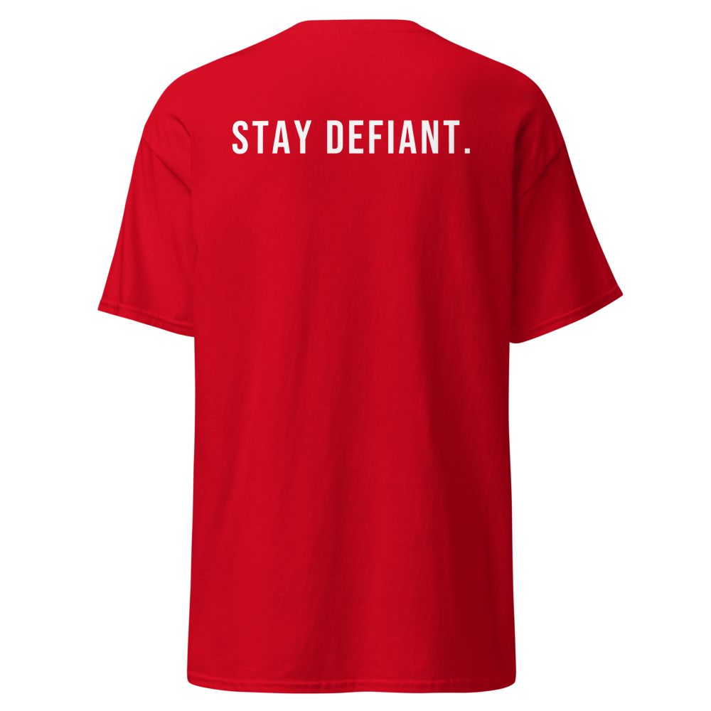 Unisex Classic Tee | Gildan 5000 (Red / 2XL)