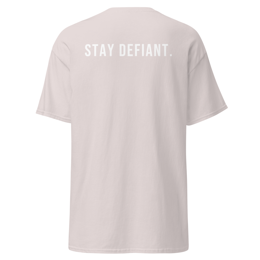 Unisex Classic Tee | Gildan 5000 (Ice Grey / 2XL)